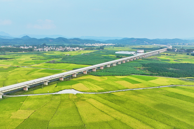 “桥”见柳梧铁路秋日奋进好时光