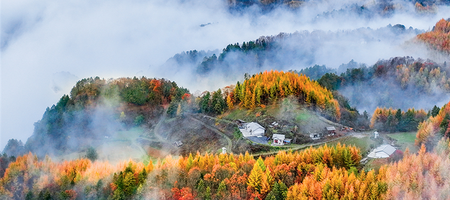 惊艳！神农架“红坪画廊”现云雾美景