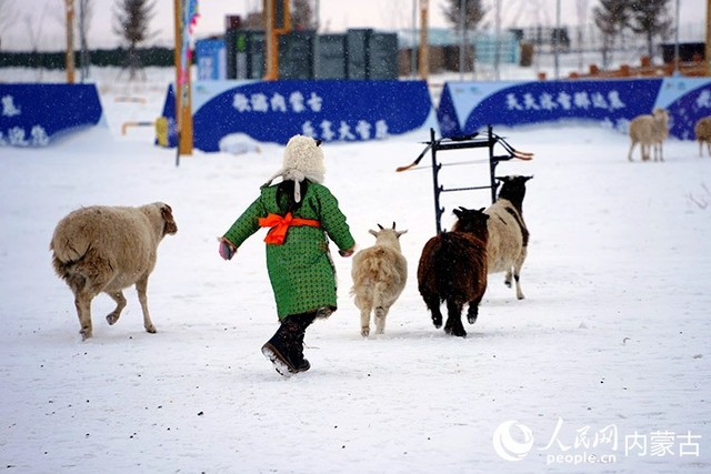 内蒙古呼伦贝尔：穿越大雪原 天天那达慕