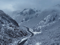 青海乐都：森林公园雪景美如画