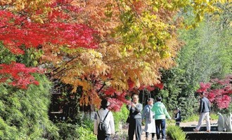 冬日春城色彩缤纷