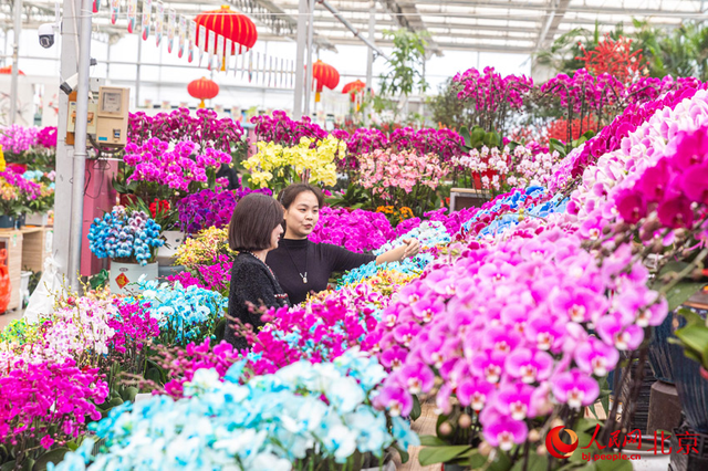 小花朵大产业 为首都花园城市添“花样”