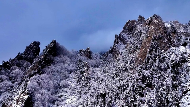 青海乐都：森林公园雪景美如画