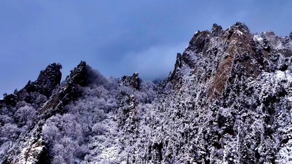 青海乐都：森林公园雪景美如画