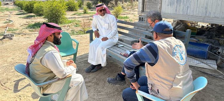 Lime-flavoured Memories Drive Innovation on Saudi Farm