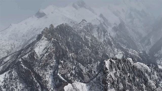 青海乐都：森林公园雪景美如画