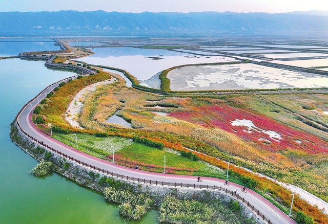 山西运城：湿地公园美如画 市民休闲好去处