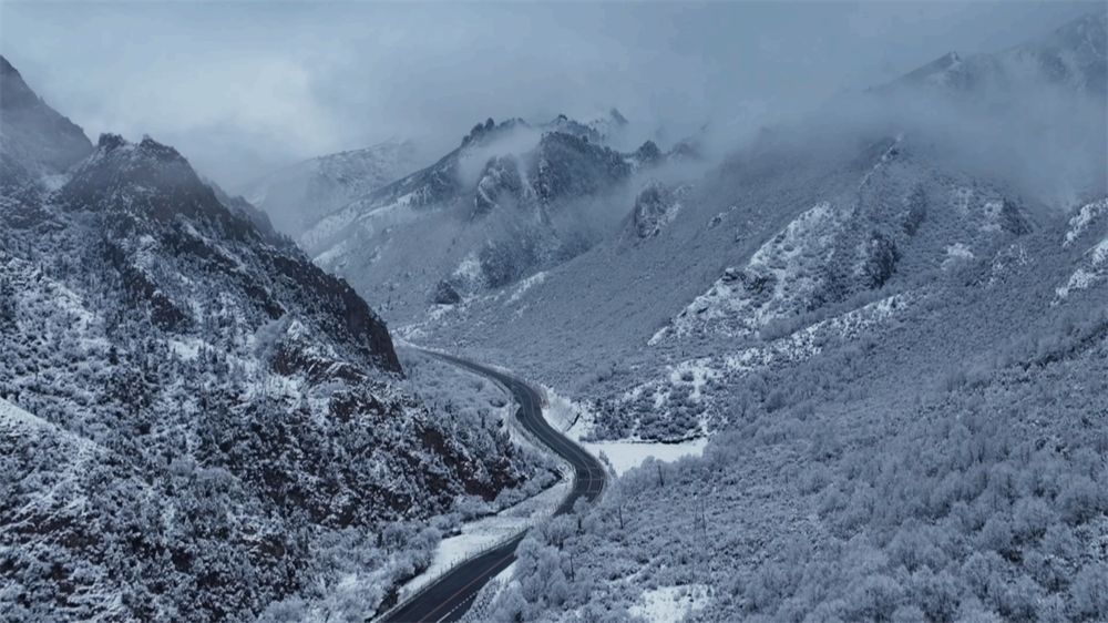 青海乐都：森林公园雪景美如画