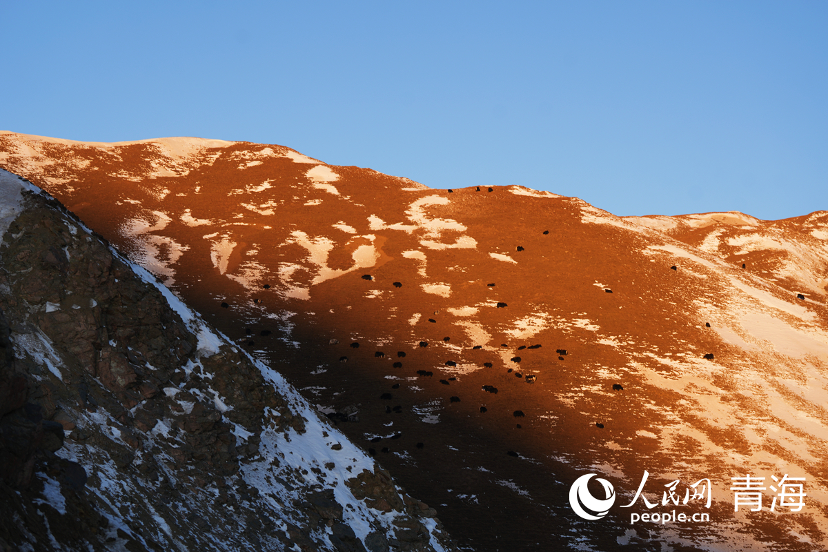 在拉脊山巅邂逅雪山日出