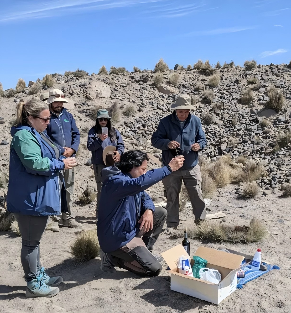 Ancestral Practice Promotes Vicuña Conservation and Sustainable Development in Chile's Lauca Biosphere Reserve