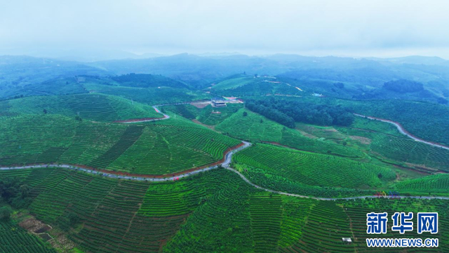 云南景洪：“黎明之城”迈进旅居时代