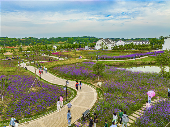 信阳市光山县东岳村：一根网线牵出小山村大变化