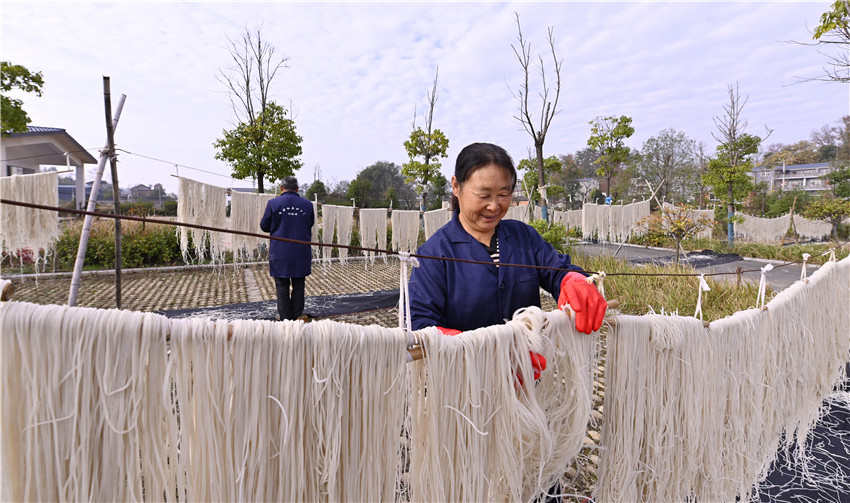 信阳新县：红薯粉条加工忙