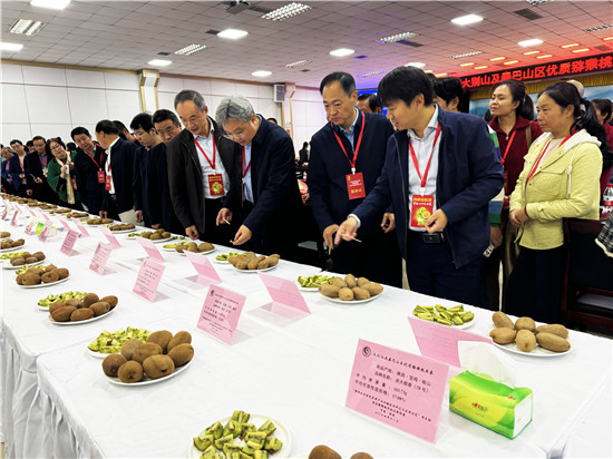 南阳西峡：区域协同促创新 汇选优品促发展