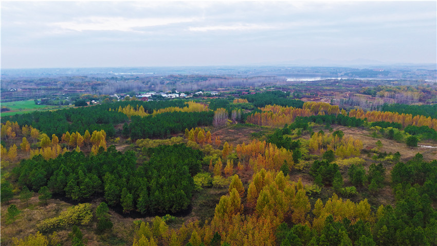 南阳市卧龙区：龙王沟水库初冬美如画