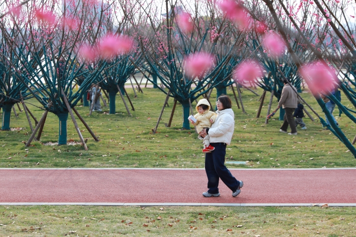 河南开封：古城春色入画来