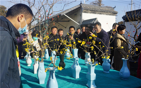 诗意花都 梅香天下 第十一届中国·鄢陵蜡梅梅花文化节开幕