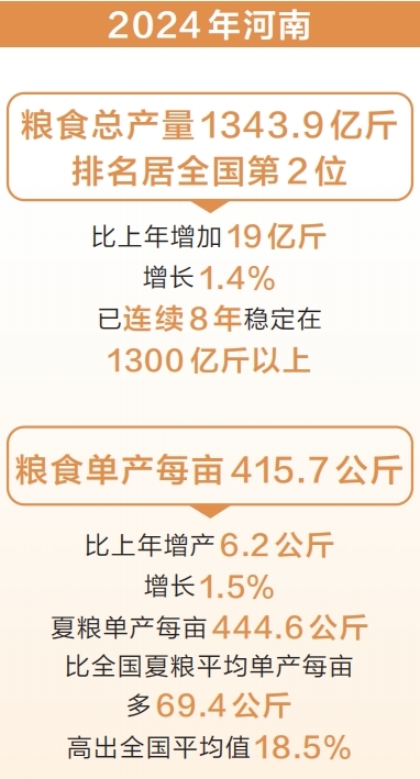 2024年河南粮食总产量超1343亿斤