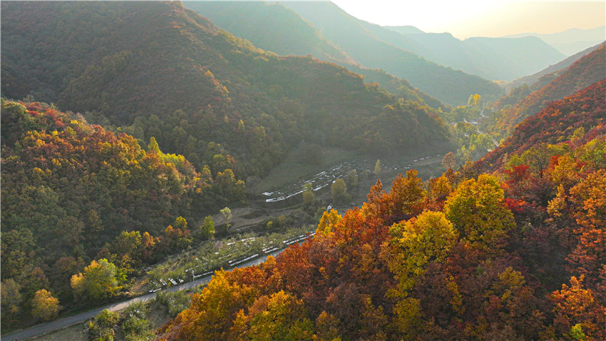 最美的秋丨三门峡灵宝市：斑斓秋色浸染山林胜境