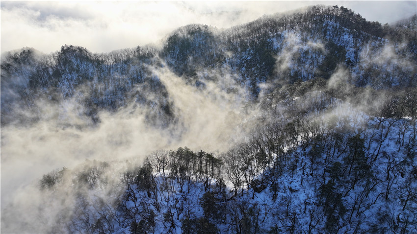 平顶山市鲁山县：初雪云海成诗画 尧山盛景醉赏客