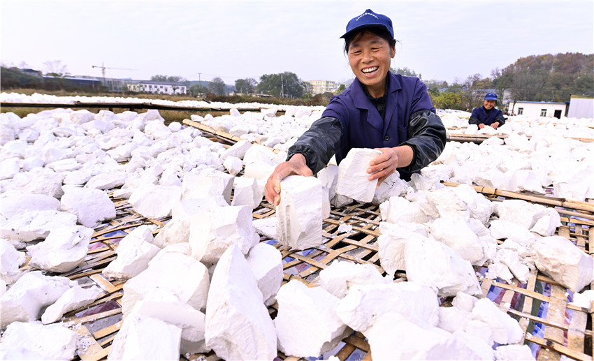 信阳新县：红薯粉条加工忙