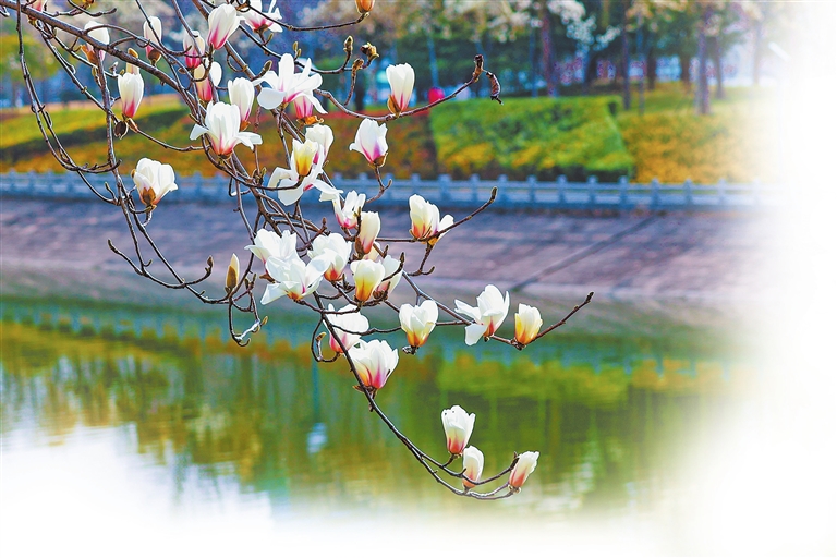 植此青绿染中原——河南省春季植树造林综述