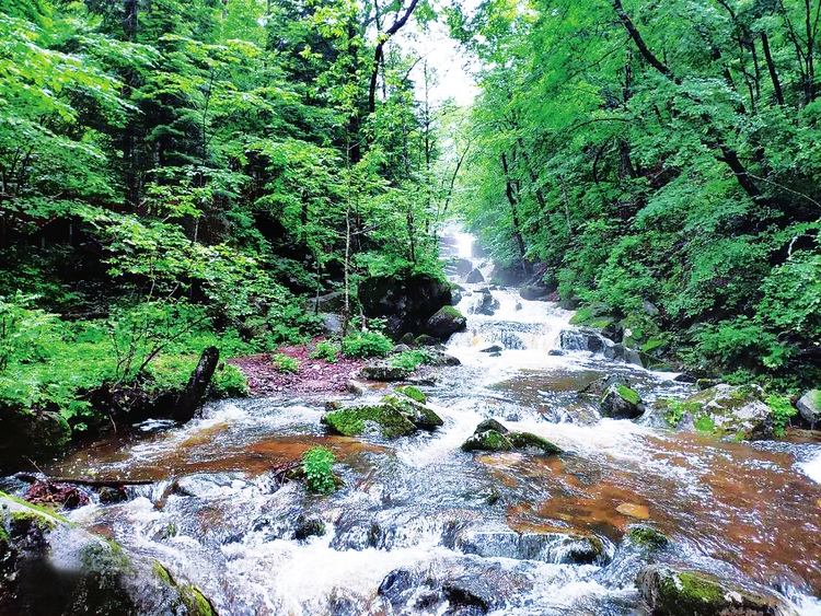 山情水意 沉醉在汪清兰家大峡谷