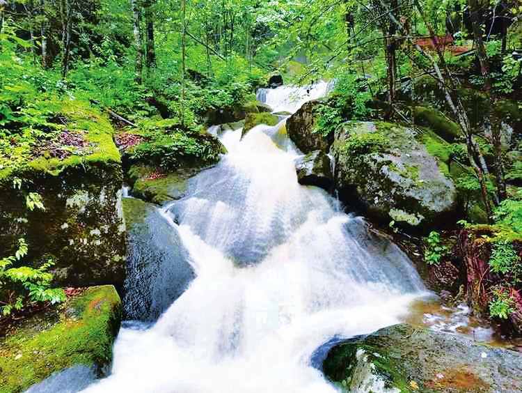 山情水意 沉醉在汪清兰家大峡谷