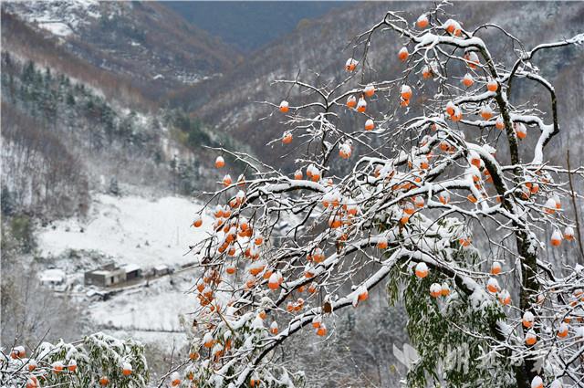 湖北保康：雪后山村美如画