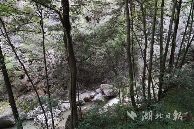 保康峡峪河村被命名为中国景观村落