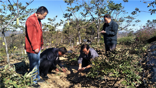 陕西杨凌：强化科技支撑  推进精准扶贫