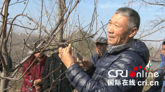 【河南在线-文字列表】【移动端-文字列表】平顶山鲁山县：林果专家为果农传经送宝