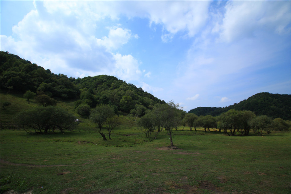 【旅游　显示图在最下方】宝鸡大水川：惬意的高山草甸