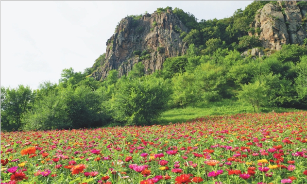 趣说 “双芽山”名字来自俩丫头