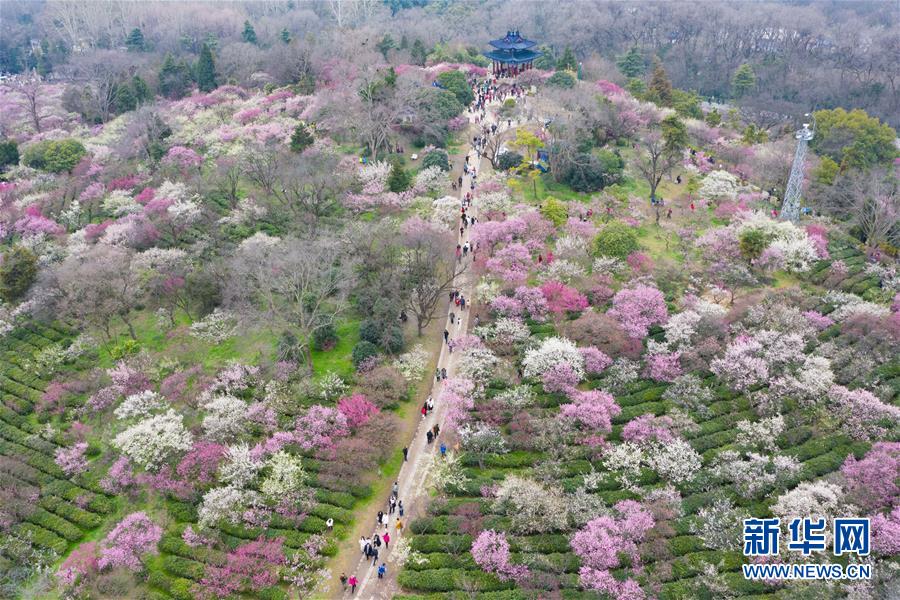 全域：春暖花开迎客来