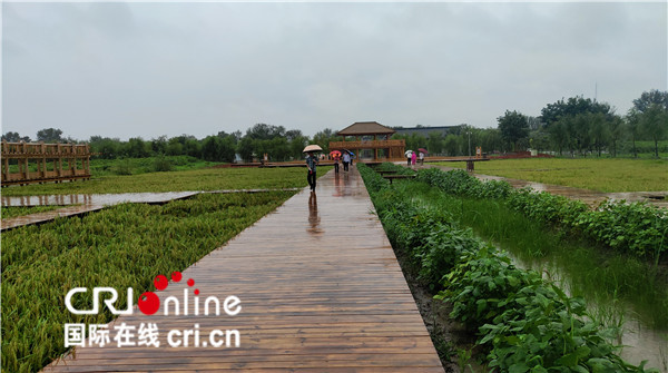 盘锦荣兴：守住辽河口文化 留下乡村风情