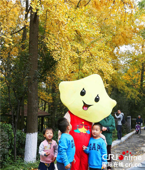 （原创 旅游列表 三吴大地南京 移动版）第四届南京清凉山银杏谷旅游文化节正式开幕