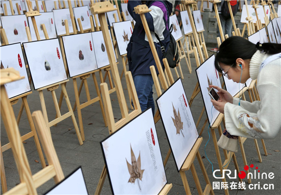 （原创 旅游列表 三吴大地南京 移动版）叶雕艺术节为南京栖霞山红枫艺术节再添色彩