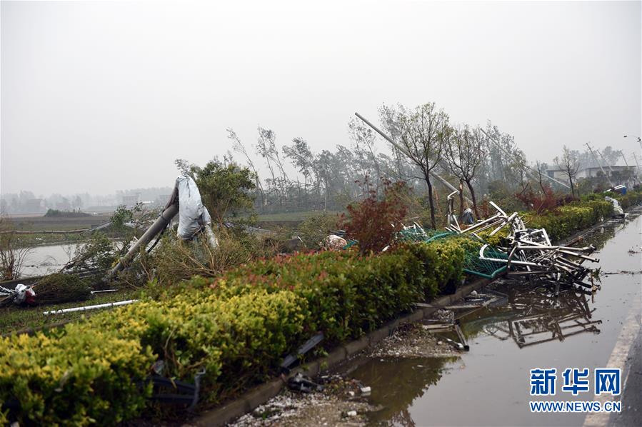 江苏阜宁射阳等地突发强对流天气已致51人死亡