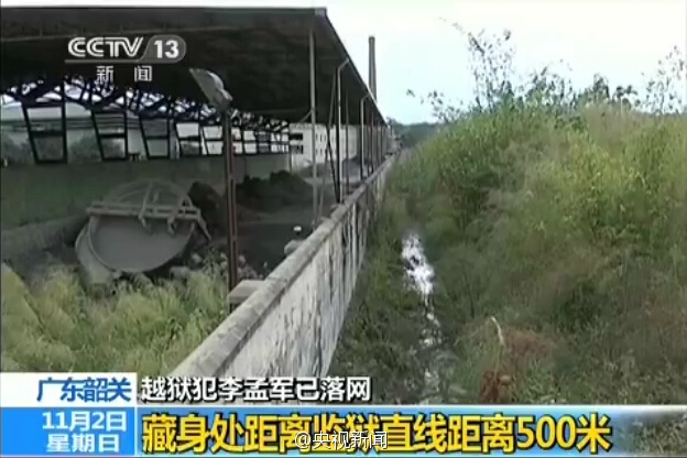 广东越狱逃犯藏身地曝光：距监狱500米远的草丛坑洞中