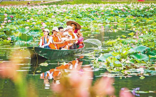 【城市远洋】重庆武隆：乡村旅游“兴”乡村