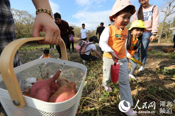 湖北罗田：“乡愁游”引客来