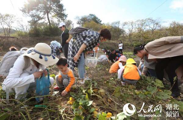 湖北罗田：“乡愁游”引客来