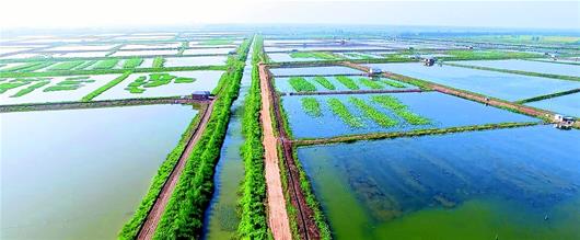 湖北孝感：497个基础设施项目补短板