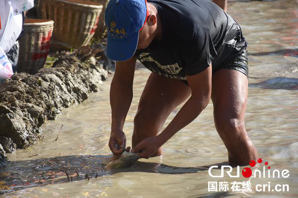 【唐已审】【原创】百色市凌云县：千名群众泥田里嗨翻天  旱地里乐开怀