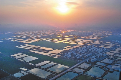 【豫见国际-图片（页面标题：国家大数据（河南）综合试验区）】【 移动端-焦点图】国家大数据（河南）综合试验区：从智能云到智慧岛