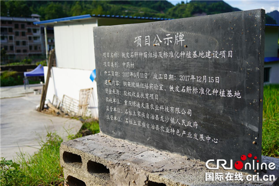 【科教 图文】重庆大学实践团探访石柱县脱贫妙招【内容页标题】重庆大学实践团探访石柱县铁皮石斛组培种植基地脱贫妙招