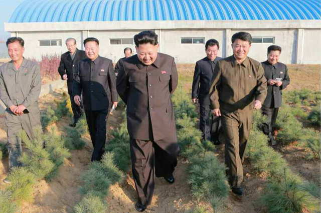 金正恩视察种植园区 多次蹲下腿疾已无大碍