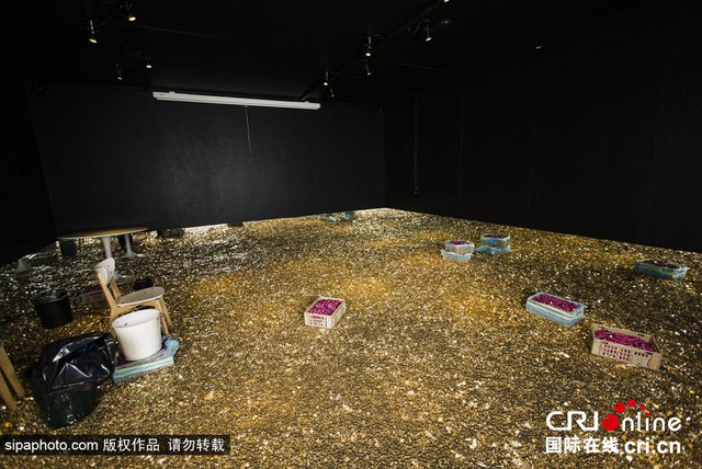 瑞士将展出800万枚硬币 观众可体验"掉进钱堆里"(图)