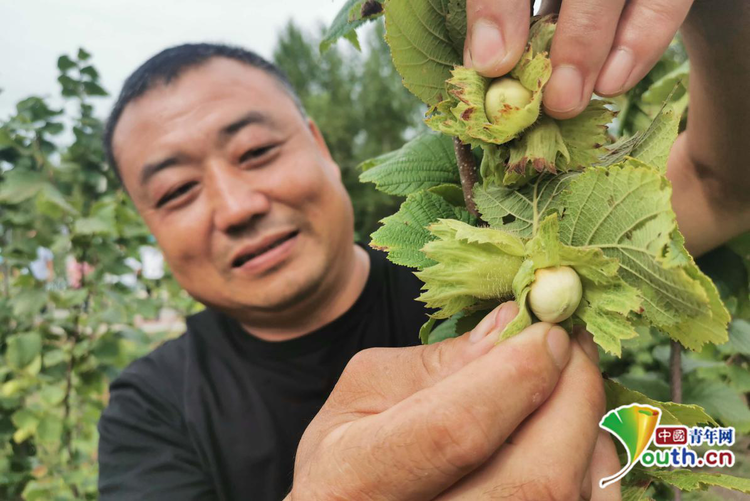 哈尔滨通河县：乡风文明促振兴